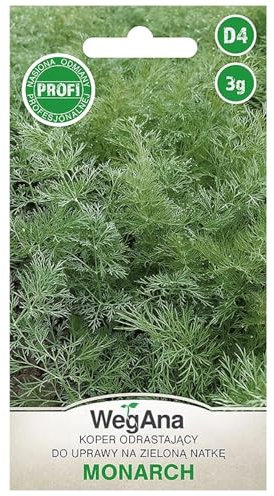 Semi di aneto WegAna Semi di aneto monarca 3g Semi di ortaggi robusti Semi di coltivazione