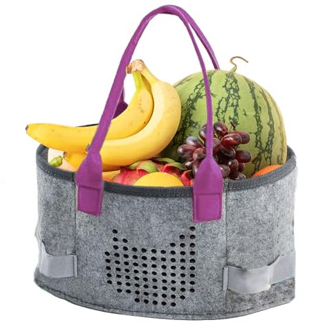 Caso de reproductor de audio, caso de transporte de fieltro | Bolsa de almacenamiento - Cajas y cubiertas de teclado, accesorios de instrumentos musicales, transporte portátil Ligero para bancos de en