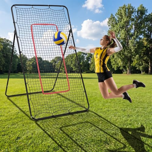 Rebotador de voleibol Netz
