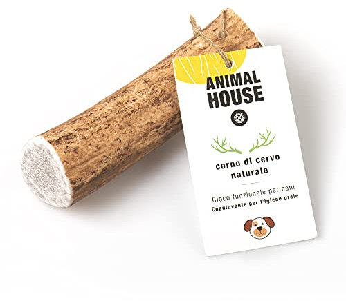 Animal House - Corna di Cervo per Cani Intere - Masticativo Naturale al 100% - Rafforza Igiene Orale - Resistenti e Duraturi - Disponibili in Tutte Le Taglie - Cruelty Free (M)