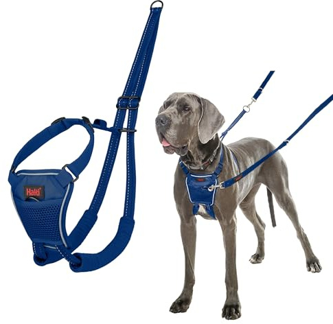 HALTI No Pull Anti-Zug Geschirr - Verhindert, DASS Ihr Hund an der Leine zieht, Gepolsterter Brust- und Beingurt, Reflektierendes Gurtmaterial, Einfache Anpassung und Benutzung (Größe L, Kobaltblau)