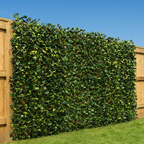 CHRISTOW Expanding Artificial Trellis Fake Laurel Leaf Hedge Garden Privacy Screening (1m x 2m)