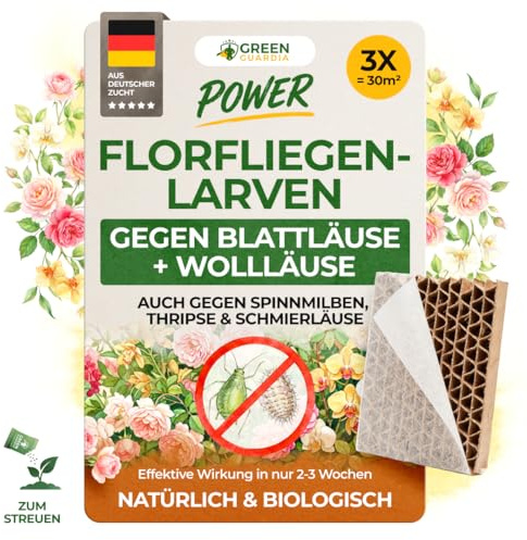 GREEN GUARDIA Power larvas de crisopas contra pulgones y cochinillas – 3 panales para 30 m² – agente biológico para combatir eficazmente pulgones y cochinillas para plantas de interior y ornamentales