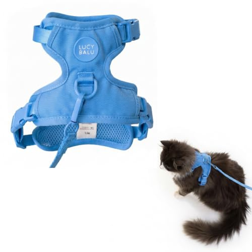LucyBalu® Explorer Kattsele med koppel I bröstsele set med fack för AirTag I vadderad, andningsaktiv och justerbar I 1,5 m kattkoppel I blå M/L