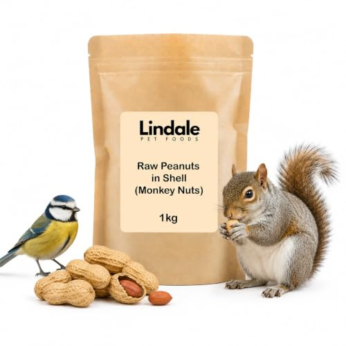 Raw Peanuts in Shell (Monkey Nuts) 1kg for Wild Birds, Squirrel Food, for Garden Birds by Lindale Pet Foods