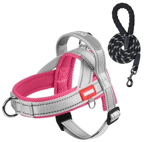 LiebeDD Hundegeschirr mit Leine für Mittelgroße Kleine Hunde Welpen, Bunt Farbblock Geschirr, Mesh Gepolstert Brustgeschirr Hund mit Griff und Brustring, Reflektierend & Leicht, GrauRosa, S