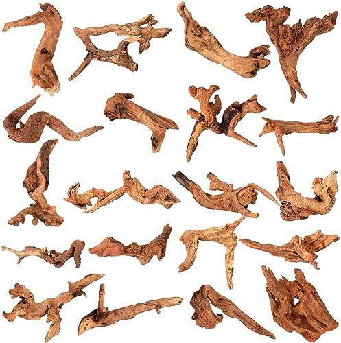 Suzile 20 Pcs Small Natural Coral Driftwood for Aquarium 4-7 Inches Driftwood Assorted Shapes Reptile Terrarium Decor Drift Wooden Branch for Fish Tank Aquarium Decoration