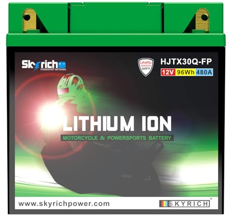 Skyrich HJTX30Q-FP startbatteri