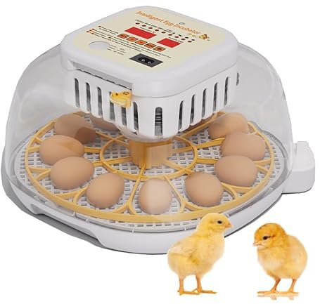 Brutautomat Vollautomatisch, Inkubator Hühner mit 360° Automatischem Eierdrehen Inkubator für 12 Eier Brutmaschine Vollautomatisch, Anzeige von Temperatur Luftfeuchtigkeit, für Hühnerstall, Wachtel