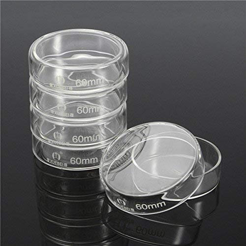 FEVERWORK 5Pcs 60mm Clear Glass Petri Dish Culture Plate With Lid Lab Glassware