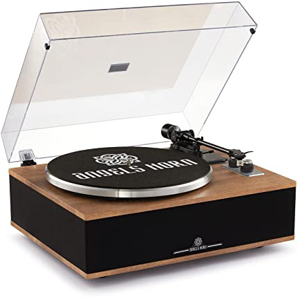 ANGELS HORN Vinyl Record Player, Bluetooth Turntable with Built in Speakers Phono Preamp, High Fidelity Turntables for Vinyl Records with Magnetic Cartridge AT-3600L, Belt Drive 2-Speed