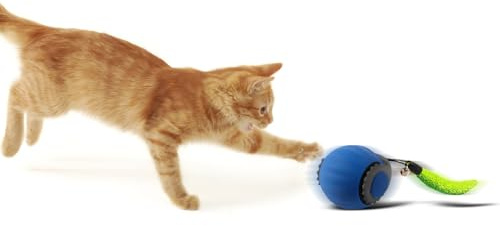 Found Notice Smart Speedy 3.0 Interactive Cat Ball with Auto Obstacle Avoidance - Indoor Kitten Toy for Mental Stimulation & Playtime Fun ,2025 Edition (Blue)