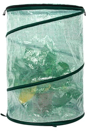 ETUCYNG - Invernadero para exterior, invernadero pop-up,invernadero de jardín plegable para interior, tienda multiusos para interiores, invernadero de balcón para tomates, arándanos, pequeños arbustos