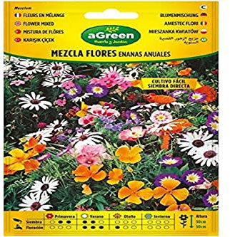 SOBRE SEMILLAS MEZCLA FLORES ENANAS ANUALES 300593BOLSH AGREEN