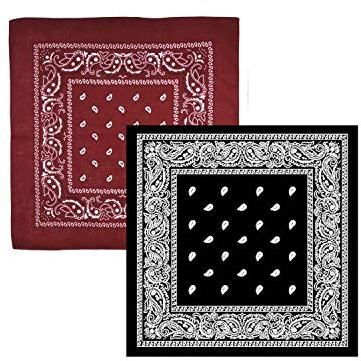 WedDecor Pack of 2 Bandana Cotton Unisex Head Scarf Combo Paisley Design Headband Breathable Men Women Children Fashion Accessory for Riding, Outdoor