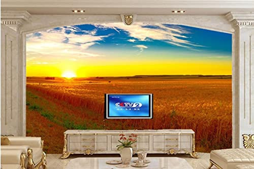 3D-Prägetapete, Landschaftsfelder, Sonnenaufgänge und Sonnenuntergänge, Himmel, Naturtapete, Wohnzimmer, TV, Sofa, Schlafzimmer, wasserdichte Tapete * 430 cm x 300 cm (169,3 x 118,1 Zoll)
