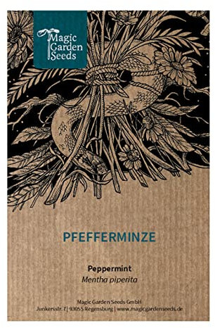 Pfefferminze (Mentha piperita) - ca. 1000 Samen