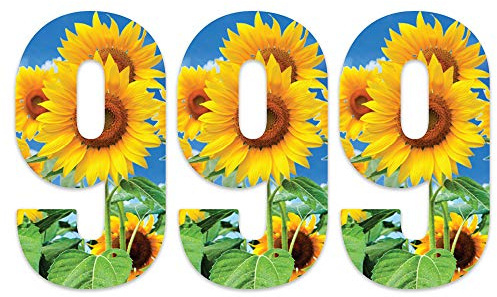 Pack of 3 Sunflower Bin Number Sticker - 9 Ideal for Home, Office, Classroom Decoration, Out Door Wheelie Bins, Dustbin V1099 Packwith®