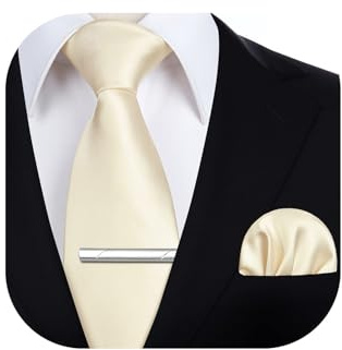 HISDERN Cravate Crème Homme Formelle Élégante Classique Ensemble de Cravates et Mouchoir et Pince pour Mariage Affaires Fête