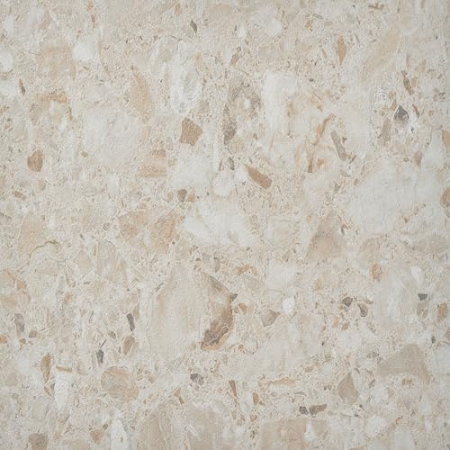 Vinyl Floor Tiles Self Adhesive - 50 Pack / 50sqf (4.65 sqm) - Peel And Stick Floor Tile 12x12 inch (30.5x30.5cm) - Sticky Vinyl Flooring For Kitchen, Living Room and Bathroom - Beige Desert Terrazzo