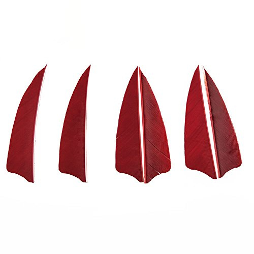 SHARROW 50pcs Tir à l'arc Plumes de Flèche 3 Plumes Naturelles Fletching Empennage de Flèche Plumes pour Flèches en Bois et Flèches de Carbone