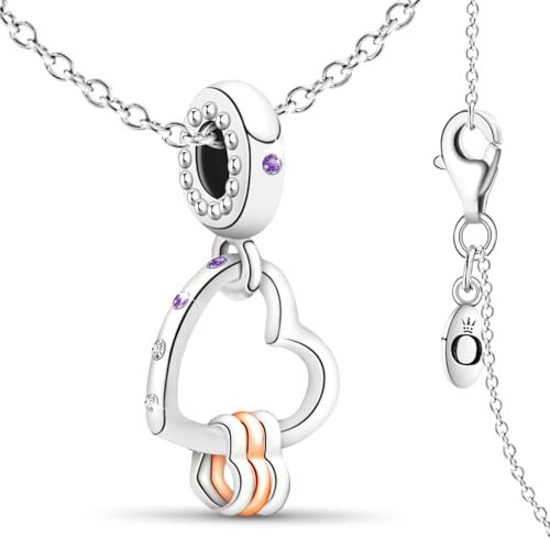 Herz Charm Kette Damen,Brillante Eleganz Infinity Halskette Sterling Silber 925 mit Anhänger,Necklace for Women,Geschenk für Frauen Geburtstag,Unendlichkeitszeichen Silberkette,