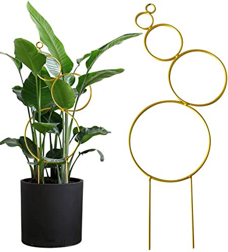 Sloane Small Trellis for Potted Plants | Tower Obelisk Garden Trellis Plant Support Vine Supports - Outdoor Indoor Plant Stake for Potted Climbing Vines and Flowers Stands