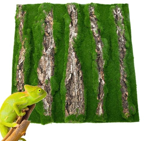 Antecedentes de Corcho para Terrario - Decoración de viviendas de Reptiles | Fondo de Corteza con Espuma Artificial, Accesorio Natural para, Serpiente, camaleón, Gecko, dragón Barbudo y anfibi