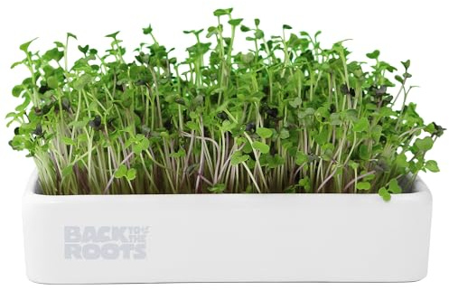 Back to the Roots Organic Microgreens Grow Kit with Ceramic Planter, Expandable Soil, Organic Seeds, and Germination Lid