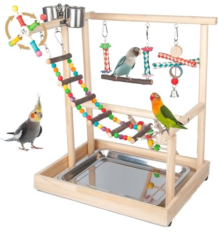 Small Bird Playground Parakeet, Bird Play Ground Parrots Table Top Parrot Stand Medium Quaker Parrot Perch Stand Cockatiel Perch Play Stand with Climb Ladders, Swing,Chewing Toys for Conure Cockatiel