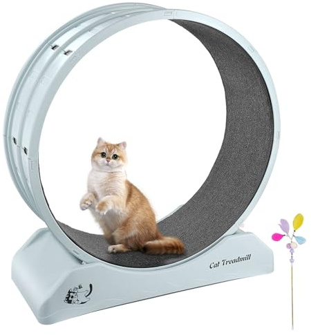 Novelfun - Cinta de correr para gatos, rueda grande de 31.5 pulgadas de diámetro, rueda de ejercicio con moqueta para gatos de interior, deporte, pasarela, fitness, control de peso (azul)