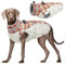 Kuoser Wintermantel für große Hunde – Winddichte & wasserdichte Hundejacke mit Weichem Fleecefutter, Reflektoren, Pelzkragen, Reißverschluss & D-Ring – Warme Hundebekleidung für Outdoor, 2XL