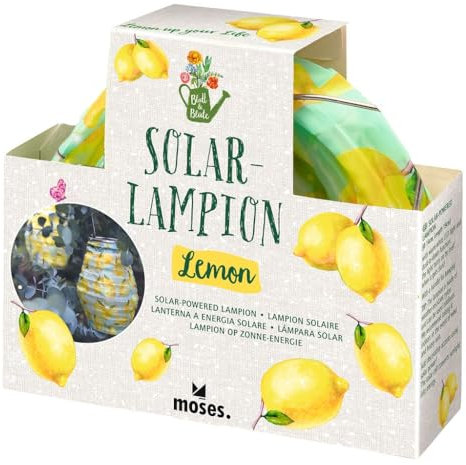 moses. Blatt & Blüte Solarlampion – Stimmungsvolle Solarleuchte im Design, mit warmweißes LED-Licht, automatisch aufladbar, wetterfest (IP44), für Garten, Balkon & Terrasse inklusive Geschenkbox