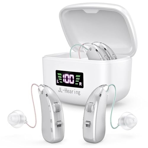 Dispositivo ricaricabile, argento, doppio auricolare, visualizza il livello di carica residua della batteria