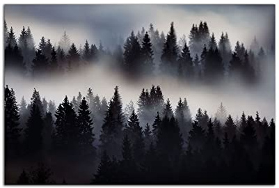 Startonight Cuadro sobre Vidrio Acrílico - Niebla del Bosque - Moderno Cuadro de Cristal Acrílico 60 x 90 cm