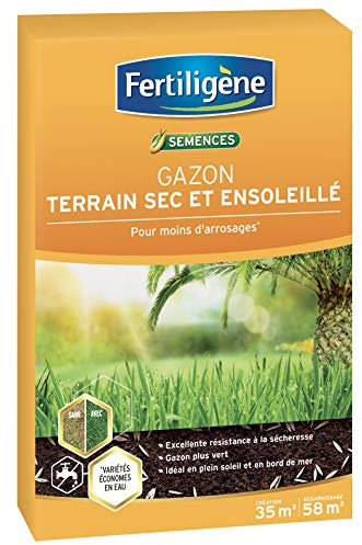FERTILIGENE SEC35 - Semences Gazon Terrain Sec 875 g - Pour moins d'arrosages et un gazon plus vert - Excellence résistance à la sécheresse - Idéal terrains en plein soleil ou bord de mer - Pour 35 m²