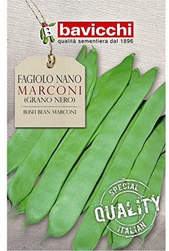 Bavicchi semi fagiolo nano Marconi (grano nero) 500g