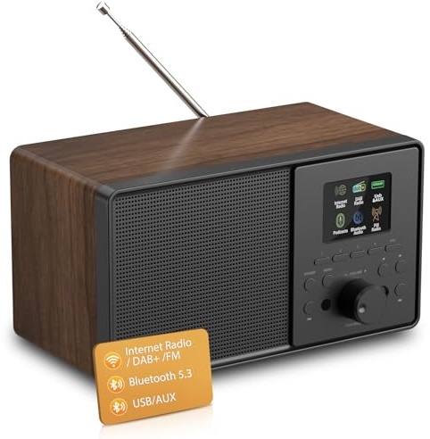Radio por Internet DAB+ FM, Radio WLAN con Bluetooth 5.3, Podcasts, USB y AUX, 4 Presets y 150 Favoritos, EQ Modos, Despertador, Mando a distancia, 2,4 Pantalla a Color – Nuez Negra
