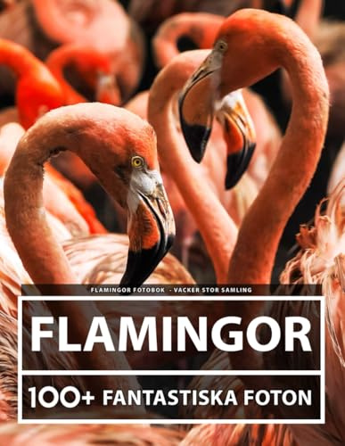 Flamingor Fotobok - Vacker Stor Samling: 100+ Fantastiska Bilder - För Barn Och Vuxna