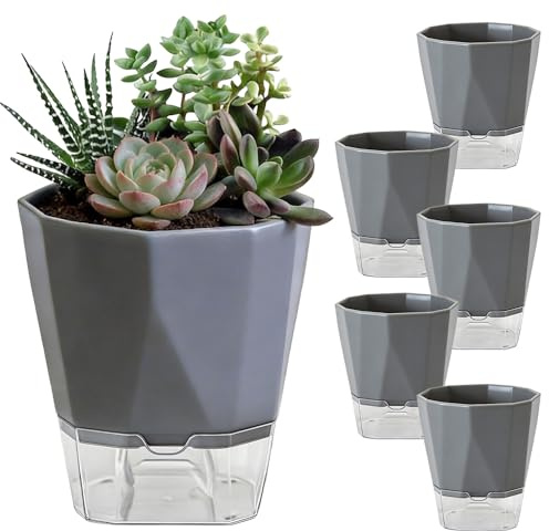 Wxeadu Satz aus 6 selbstbewässernden Blumentöpfen – 17cm Kräutertopf Küche Set mit Automatischer Wasseraufnahme, mit automatischer Wasseraufnahme für gesündere Kräuter und Pflanzen, in Grau