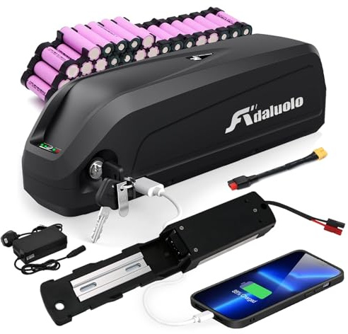 Adaluolo 48V Ebike Battery, 48V 20AH Electric Bike Lithium Battery Hailong Bicycle Batteries with 2A Fast Charger, Indicator Light, Safe Lock, 5 Pin Base Plate, USB Port