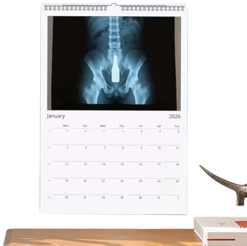 Calendario 2026 | Agenda Mensile Umoristica Con Planificatore | Calendario Mensile Da Parete 2026 - Ideale Per Infermieri Studenti Medicina Casa Camera Ufficio Scuola