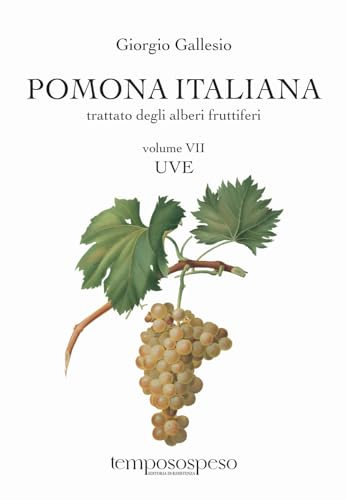Pomona italiana ossia Trattato degli alberi fruttiferi. Uve (Vol. 7)