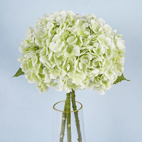 YOUNGLEAVES 3 Pcs Light Green Hydrangea Artificial Flowers Real Touch Flower 21 inches Faux Hydrangea for WeddingHome Garden Bouquets Party Table Outdoor Decoration