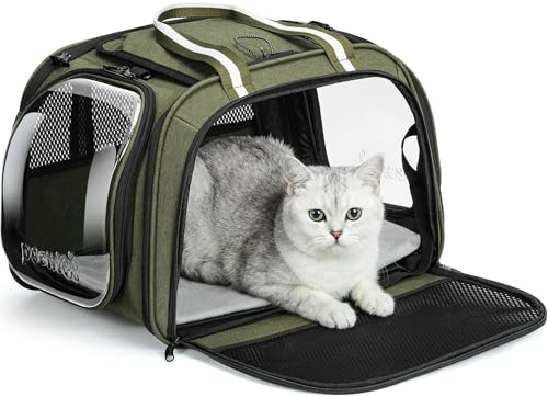 Pecute Sac Transport Chat Grande Capacité, Sac Transport Chat Vert, M