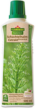 Florissa Schachtelhalm-Extrakt Konzentrat 500 ml