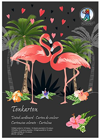 Ursus 6684699se Ton Carton Bloc, 220 g/m², DIN A4 10 Feuilles Assorties