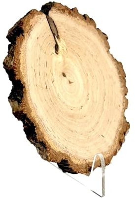 Wooden World – Rodaja de Madera con Corteza 12–15 cm, Lijada por Ambos Lados, Disco Natural para Decoración, Manualidades, DIY, Bodas y Fiestas