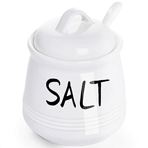HAOTOP Salt Bowls with Lid and Spoon -12 oz Ceramic Salt Cellar, Salt Containers, Spice Box for Counter, Farmhouse Kitchen Decor, White
