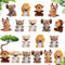 18 Stück Mini Kuscheltier Gefüllte Waldtiere Set Dschungel Tier Plüschtiere 12 cm Nette Kleine Plüsch Elefant Affe Giraffe Tiger Plüsch für Tier Thema Party Lehrer Schüler (Zarter Stil)